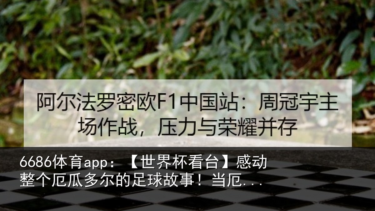 6686体育app：【世界相关情况瓜多相关情况...