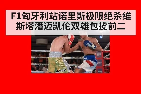 F1匈牙利站诺里斯极限绝杀维斯塔潘迈凯伦双雄包揽前二