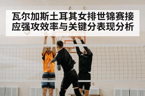 volleyball block net